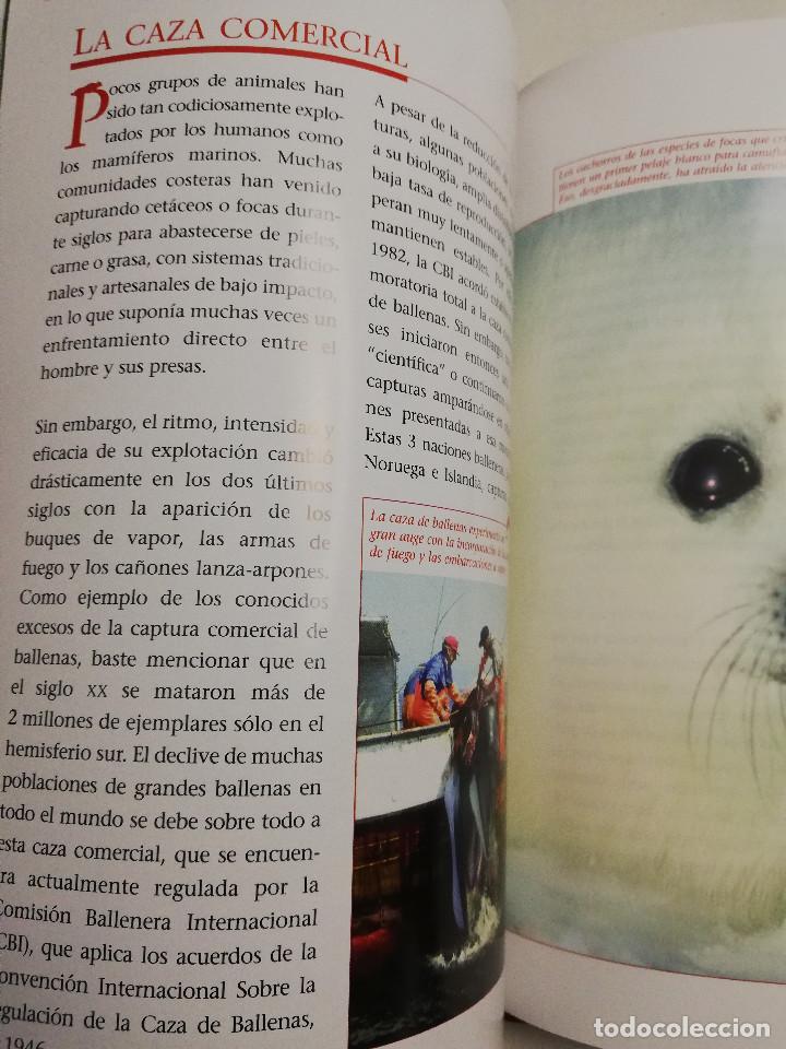 Libros de segunda mano: LOS REYES DE LOS MARES. MAM&Iacute;FEROS ACU&Aacute;TICOS (LIBRO - DVD) - Foto 5