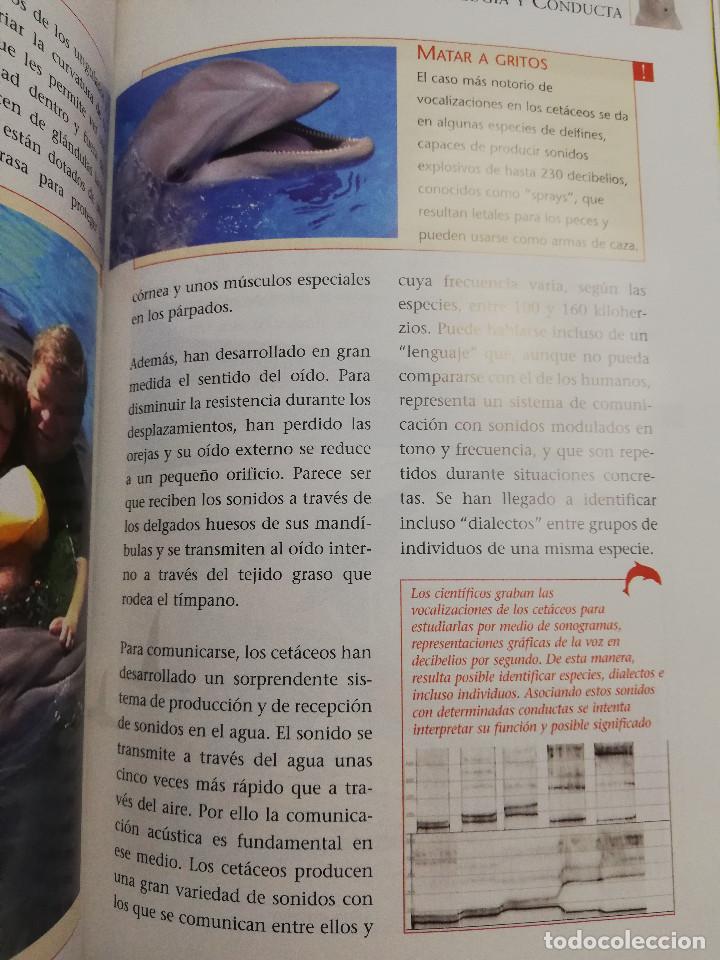 Libros de segunda mano: LOS REYES DE LOS MARES. MAM&Iacute;FEROS ACU&Aacute;TICOS (LIBRO - DVD) - Foto 6