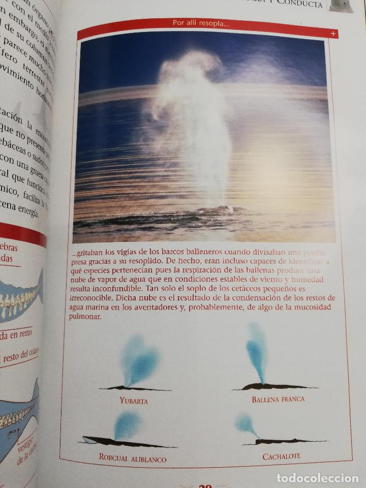 Libros de segunda mano: LOS REYES DE LOS MARES. MAM&Iacute;FEROS ACU&Aacute;TICOS (LIBRO - DVD) - Foto 7