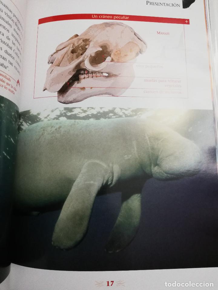 Libros de segunda mano: LOS REYES DE LOS MARES. MAM&Iacute;FEROS ACU&Aacute;TICOS (LIBRO - DVD) - Foto 8