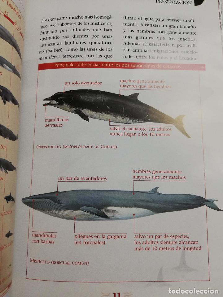 Libros de segunda mano: LOS REYES DE LOS MARES. MAM&Iacute;FEROS ACU&Aacute;TICOS (LIBRO - DVD) - Foto 9