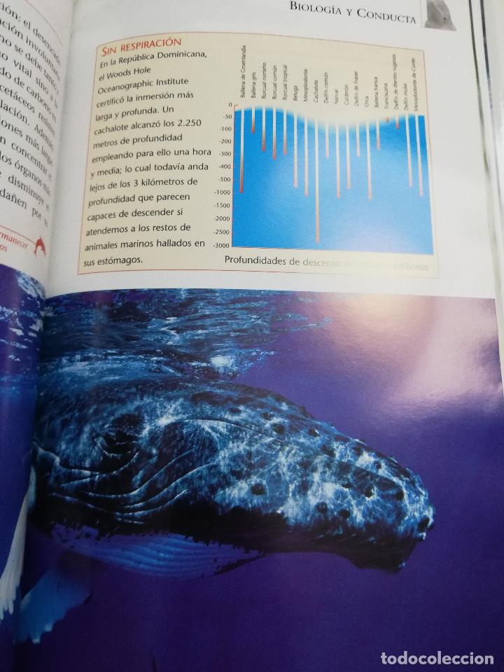 Libros de segunda mano: LOS REYES DE LOS MARES. MAM&Iacute;FEROS ACU&Aacute;TICOS (LIBRO - DVD) - Foto 10