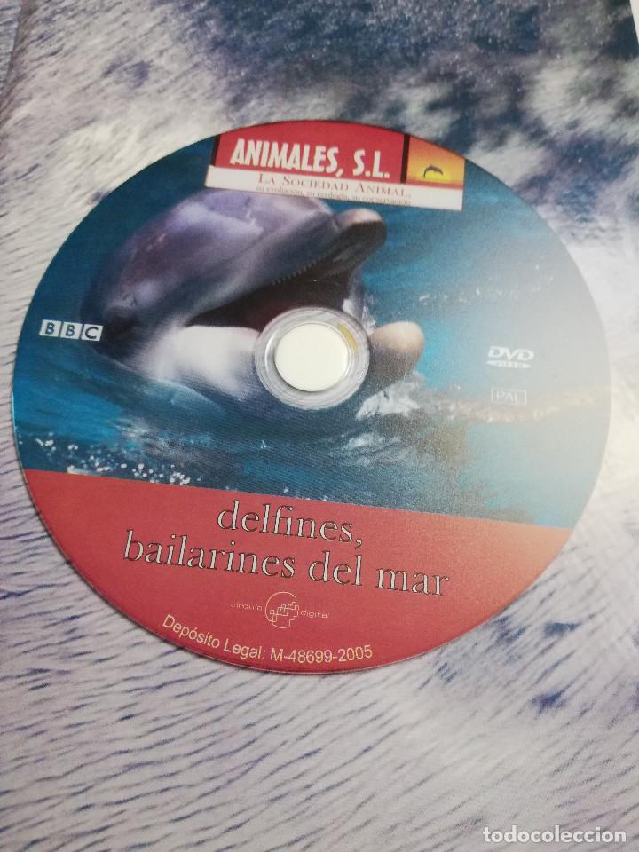 Libros de segunda mano: LOS REYES DE LOS MARES. MAM&Iacute;FEROS ACU&Aacute;TICOS (LIBRO - DVD) - Foto 11