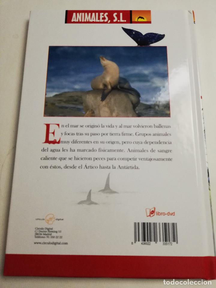 Libros de segunda mano: LOS REYES DE LOS MARES. MAM&Iacute;FEROS ACU&Aacute;TICOS (LIBRO - DVD) - Foto 12
