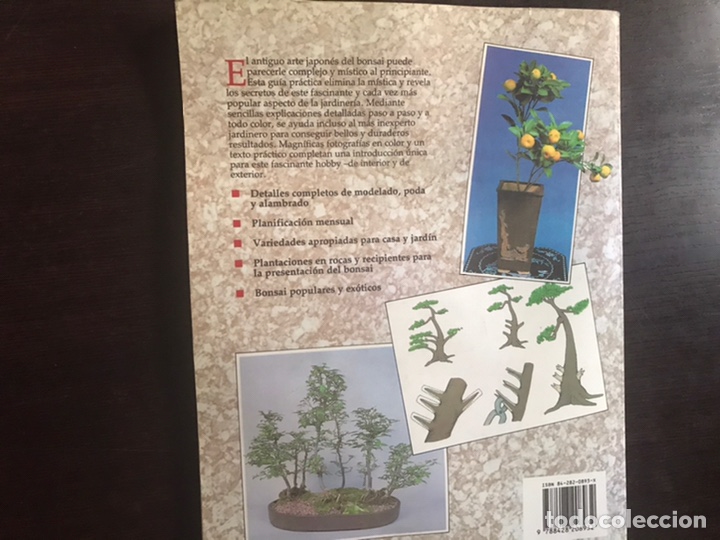 Libros de segunda mano: Bonsai. Su correcto desarrollo paso a paso. Dave Pike - Foto 2
