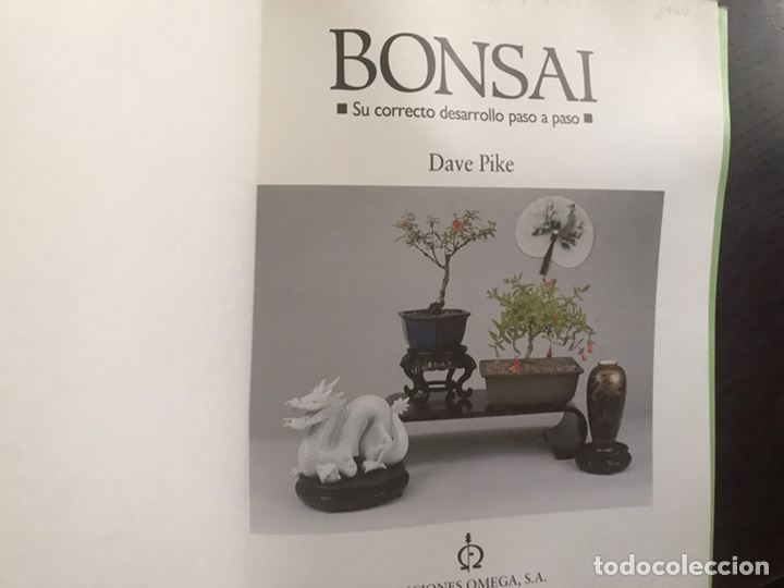 Libros de segunda mano: Bonsai. Su correcto desarrollo paso a paso. Dave Pike - Foto 3