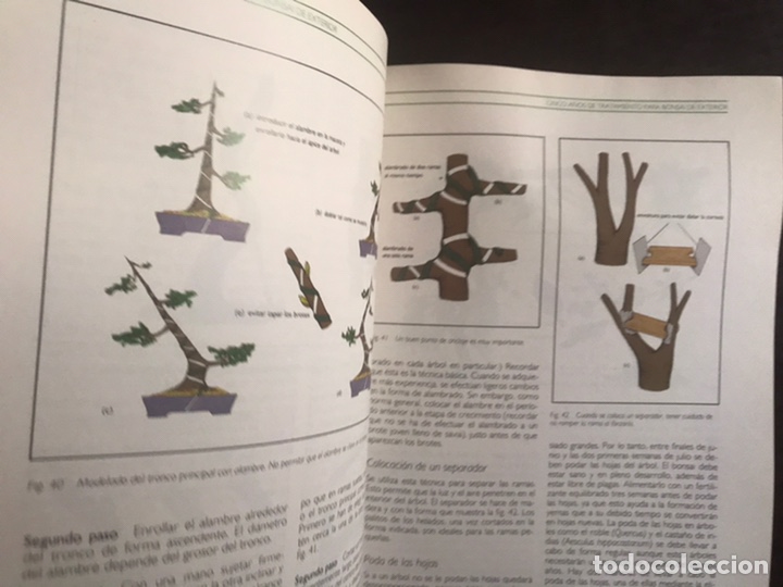 Libros de segunda mano: Bonsai. Su correcto desarrollo paso a paso. Dave Pike - Foto 6