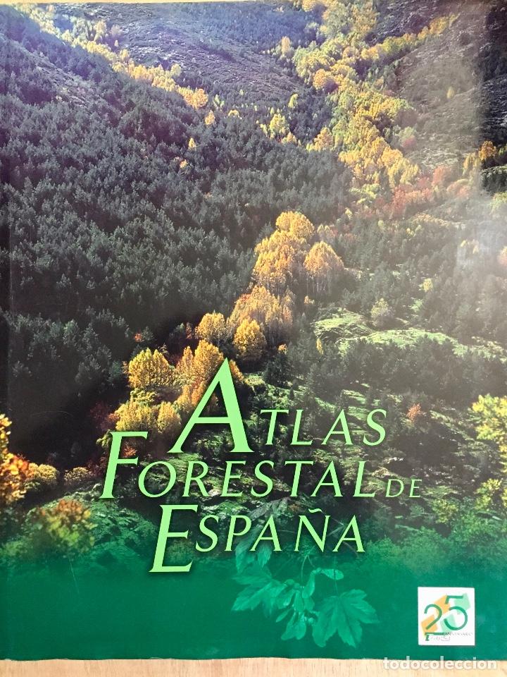 Libros de segunda mano: ATLAS FORESTAL DE ESPA&Ntilde;A. - Foto 1