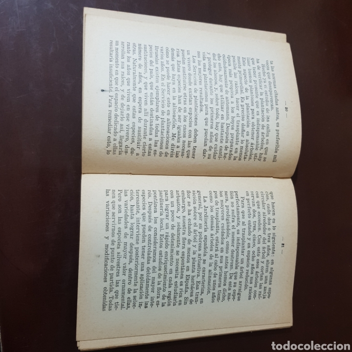 Libros de segunda mano: JARDINES - GABRIEL BORNAS URCULLU - Foto 3