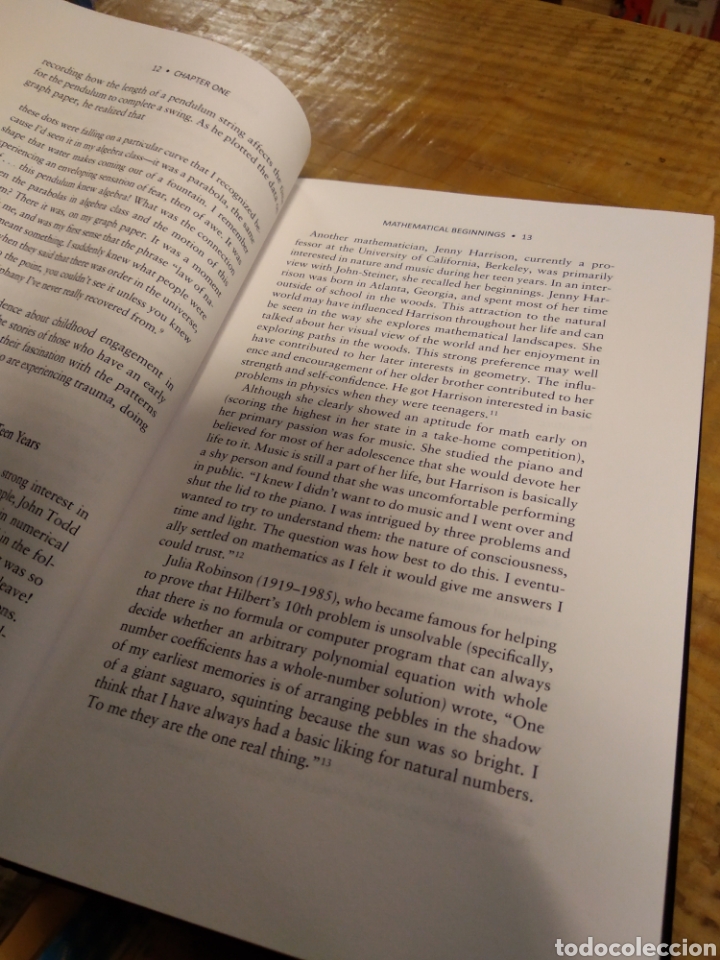 Libros de segunda mano de ciencias: LOVING + HATING MATHEMATICS. RUBEN HERSCH.VERA JOHN STEINER #3319 - Foto 4