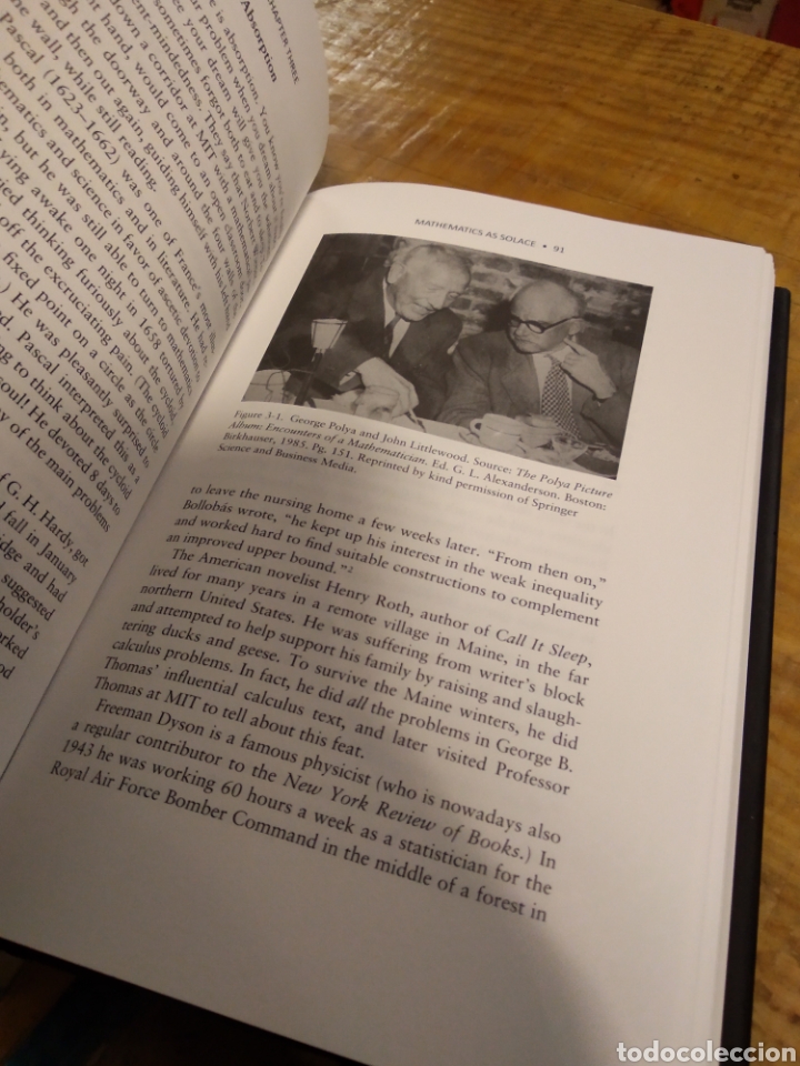 Libros de segunda mano de ciencias: LOVING + HATING MATHEMATICS. RUBEN HERSCH.VERA JOHN STEINER #3319 - Foto 5
