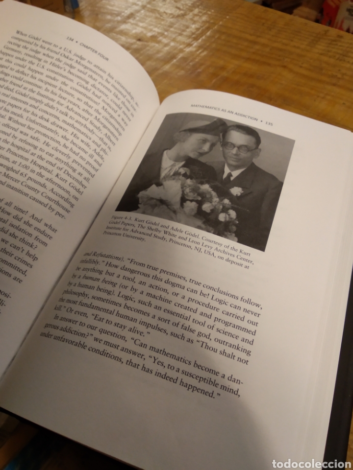 Libros de segunda mano de ciencias: LOVING + HATING MATHEMATICS. RUBEN HERSCH.VERA JOHN STEINER #3319 - Foto 6