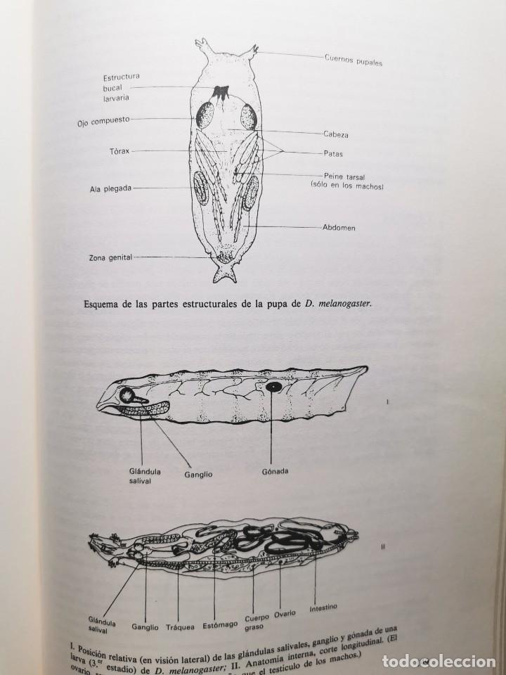 Libros de segunda mano: PRACTICAS DE BIOLOGIA (Varios autores) - Foto 4