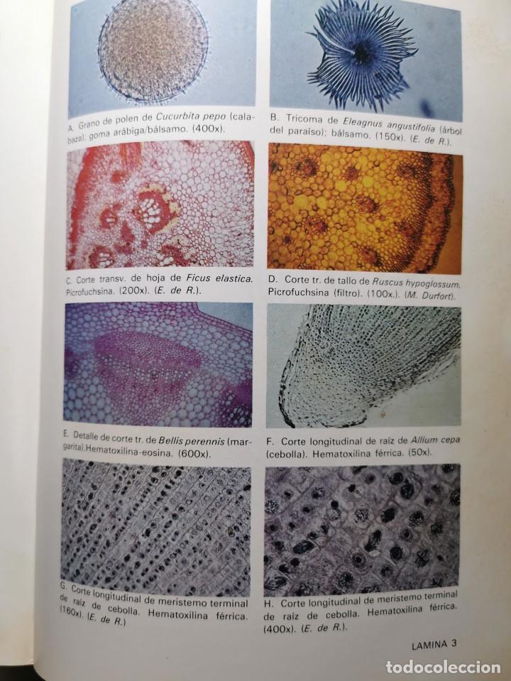 Libros de segunda mano: PRACTICAS DE BIOLOGIA (Varios autores) - Foto 5