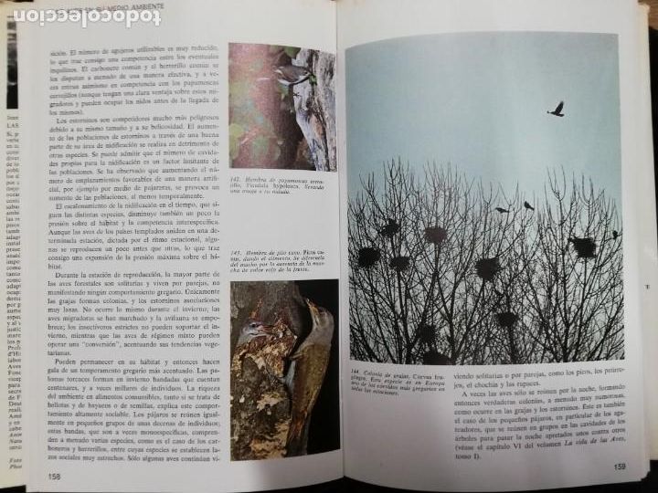 Libros de segunda mano: Las aves en su medio ambiente. Jean Dorst - Foto 2