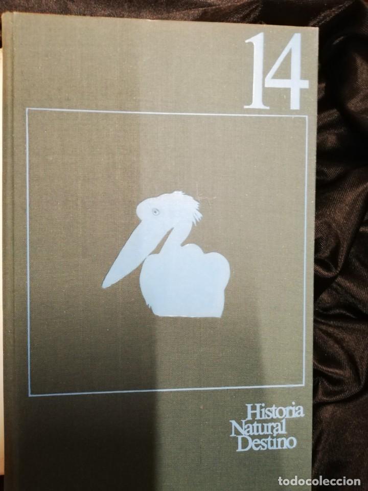 Libros de segunda mano: Las aves en su medio ambiente. Jean Dorst - Foto 4