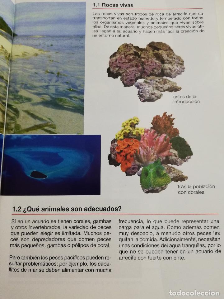 Libros de segunda mano: LOS ACUARIOS DE AGUA SALADA. SERA MANUAL - Foto 3