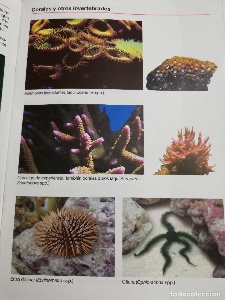 Libros de segunda mano: LOS ACUARIOS DE AGUA SALADA. SERA MANUAL - Foto 6