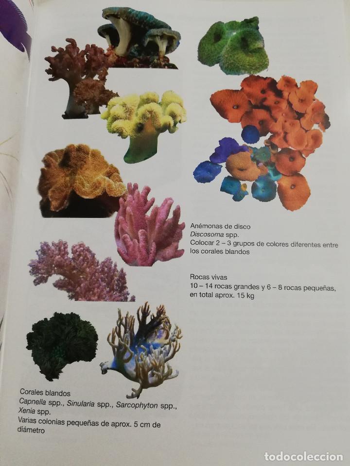 Libros de segunda mano: LOS ACUARIOS DE AGUA SALADA. SERA MANUAL - Foto 8