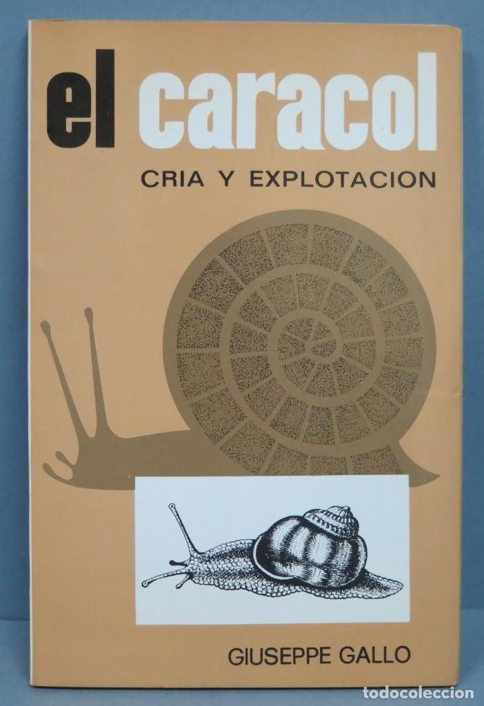 Libros de segunda mano: EL CARACOL. CRIA Y EXPLOTACION. GIUSEPPE GALLO - Foto 1