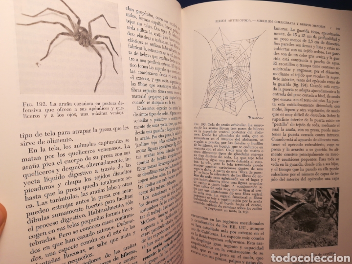 Zoologia Hickman