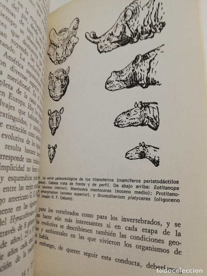 Libros de segunda mano: EL EVOLUCIONISMO (GIUSEPPE MONTALENTI) - Foto 8