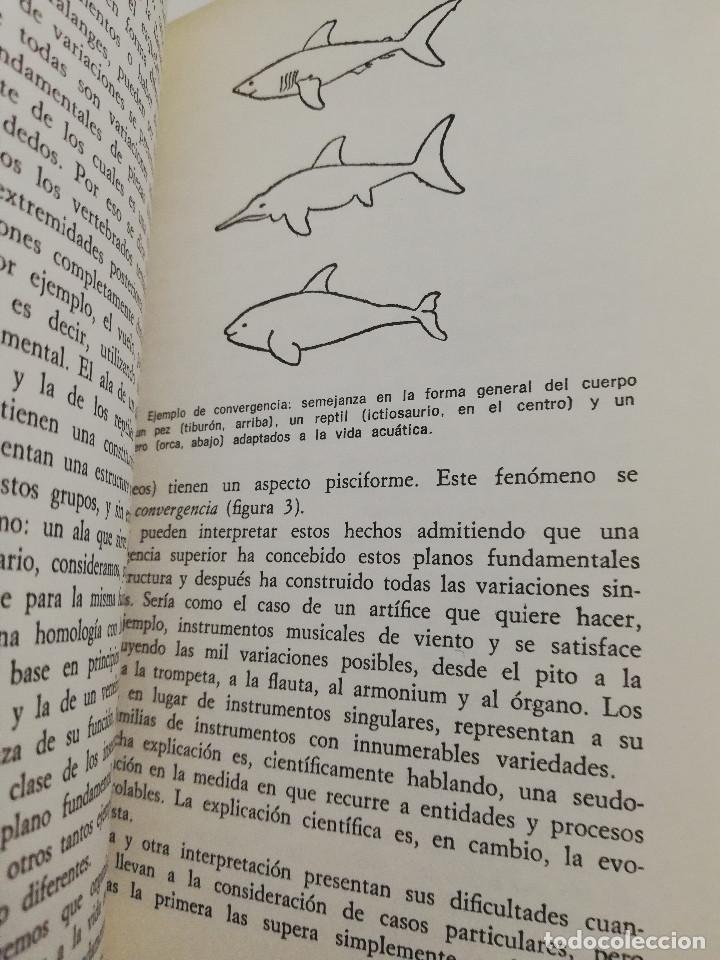 Libros de segunda mano: EL EVOLUCIONISMO (GIUSEPPE MONTALENTI) - Foto 9