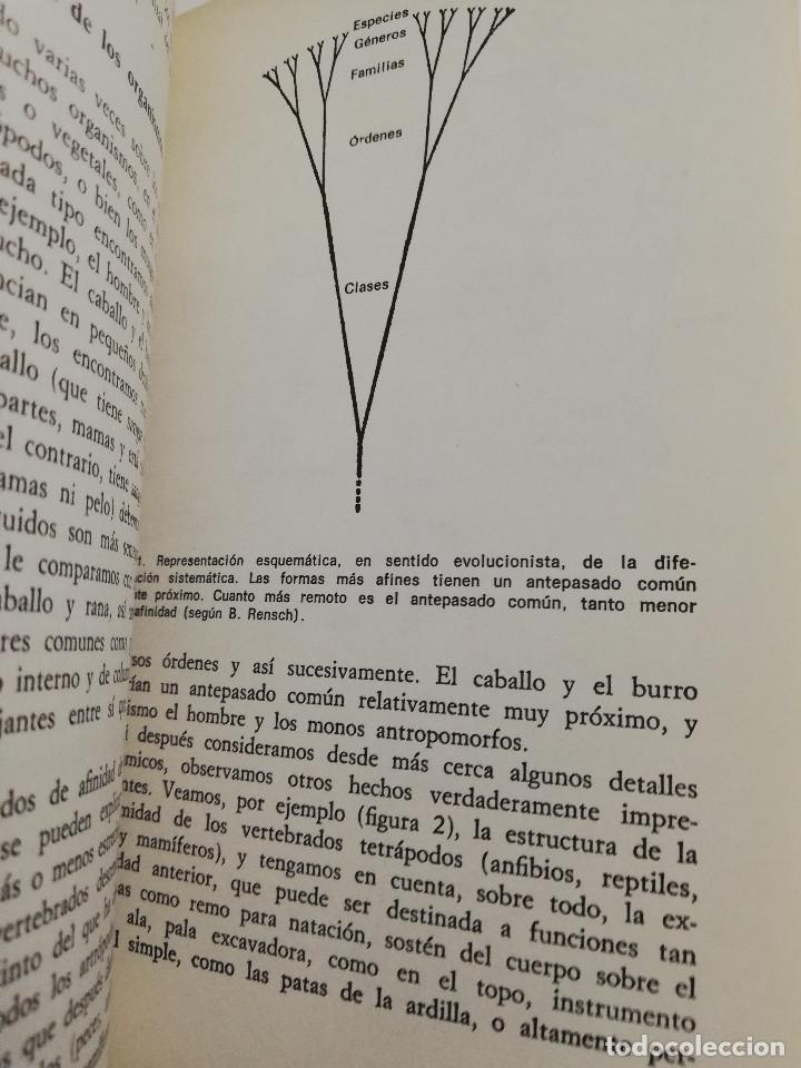 Libros de segunda mano: EL EVOLUCIONISMO (GIUSEPPE MONTALENTI) - Foto 10