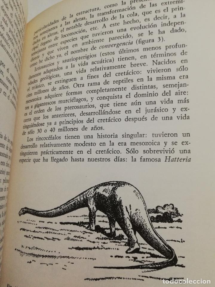Libros de segunda mano: EL EVOLUCIONISMO (GIUSEPPE MONTALENTI) - Foto 12