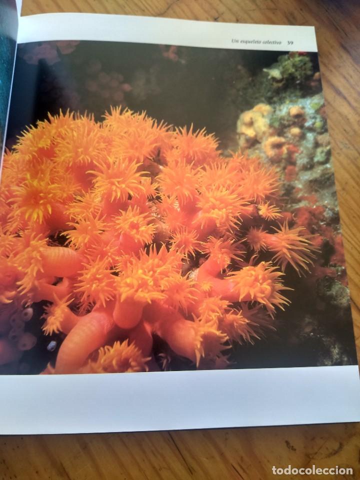 Libros de segunda mano: EL ARRECIFE DE CORAL. FRANCISCO SAURA (ED. EL SERBAL) - Foto 5