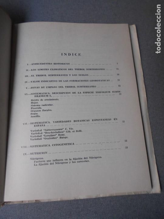 Libros de segunda mano: EL TREBOL SUBTERRANEO EN ESPA&Ntilde;A - Foto 4