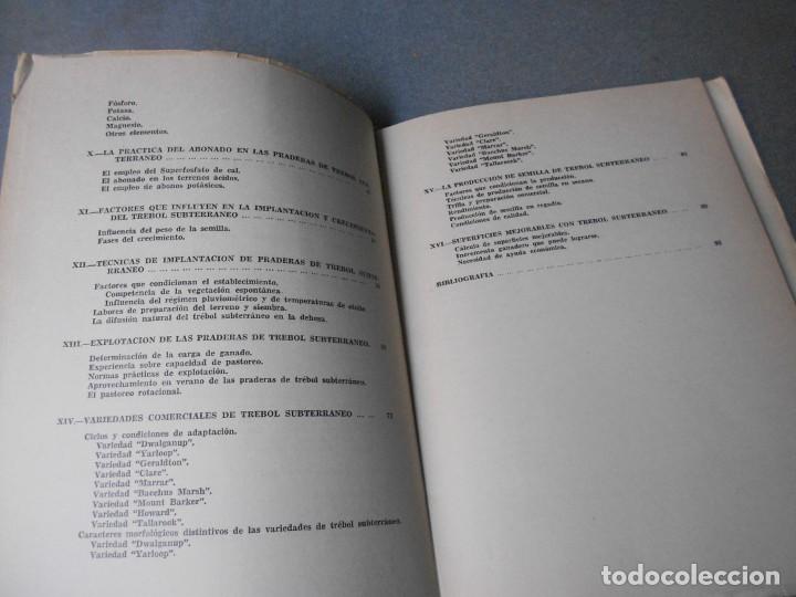Libros de segunda mano: EL TREBOL SUBTERRANEO EN ESPA&Ntilde;A - Foto 5