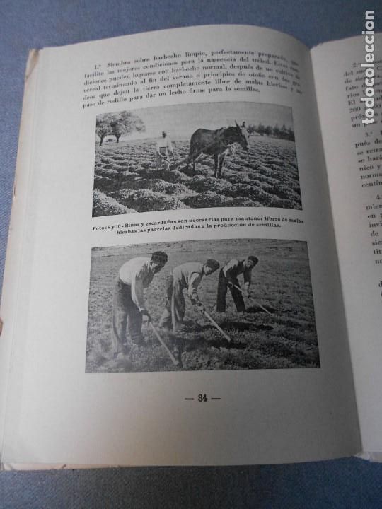 Libros de segunda mano: EL TREBOL SUBTERRANEO EN ESPA&Ntilde;A - Foto 6