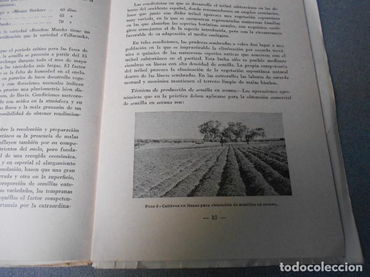 Libros de segunda mano: EL TREBOL SUBTERRANEO EN ESPA&Ntilde;A - Foto 7