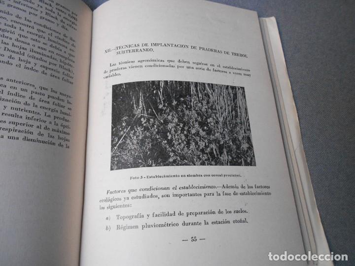 Libros de segunda mano: EL TREBOL SUBTERRANEO EN ESPA&Ntilde;A - Foto 8