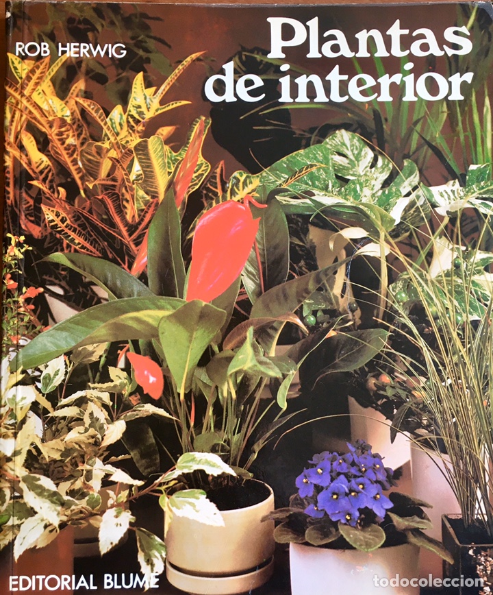 Libros de segunda mano: Plantas de interior. Rob Herwig, 1979 - Foto 1
