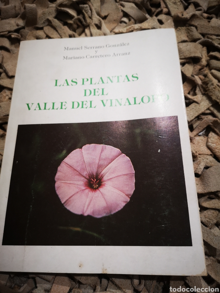 Libros de segunda mano: Las plantas del valle del Vinalop&oacute; libro a&ntilde;o 1985 - Foto 1