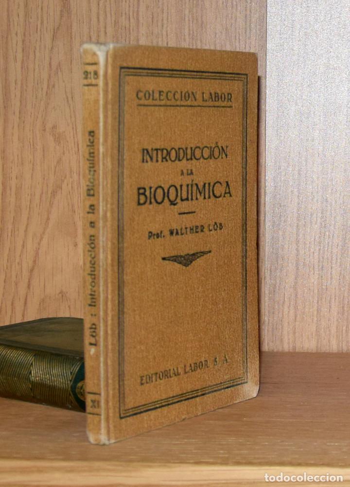 Libros de segunda mano de ciencias: INTRODUCCI&Oacute;N A LA BIOQU&Iacute;MICA - Walther L&Ouml;B - Foto 1