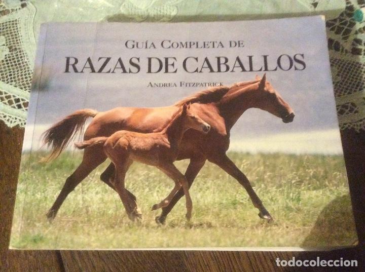 Gebrauchte B&uuml;cher: GUIA COMPLETA DE RAZAS DE CABALLOS-Andrea Fitzpatrick-440 p&aacute;ginas; 22x17 cm