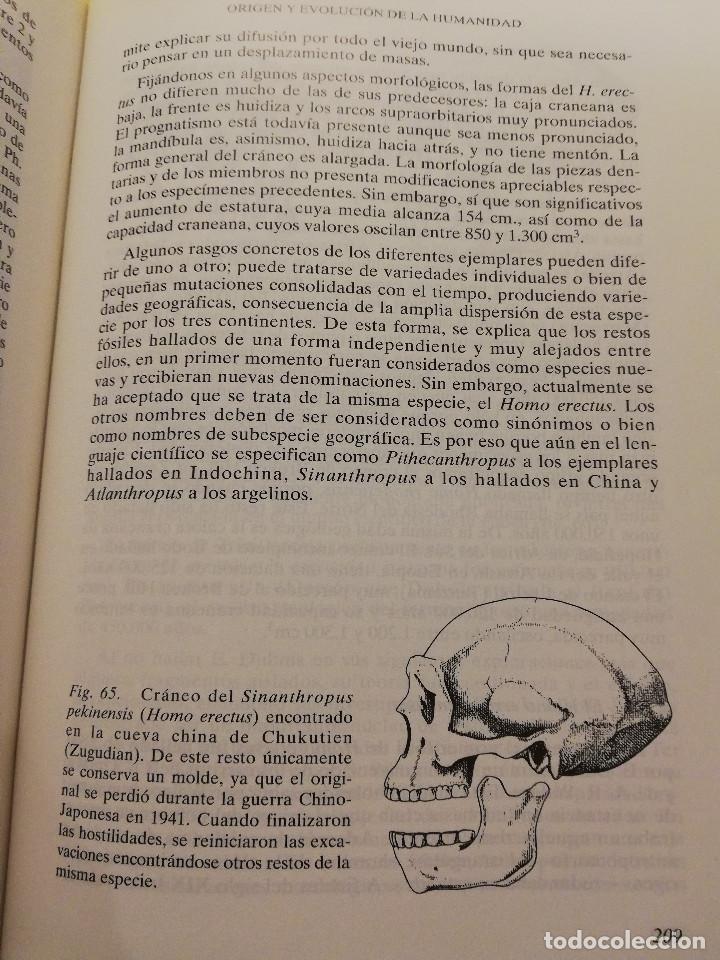 Libros de segunda mano: PREHISTORIA I (VV. AA.) UNED - Foto 15