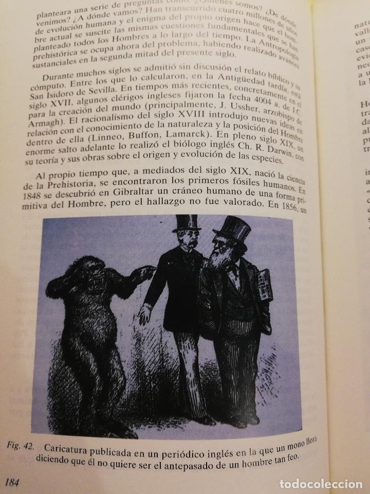 Libros de segunda mano: PREHISTORIA I (VV. AA.) UNED - Foto 16
