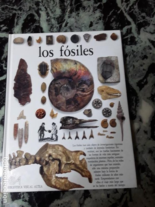 Libros de segunda mano: Los fosiles. Biblioteca visual Altea. - Foto 1