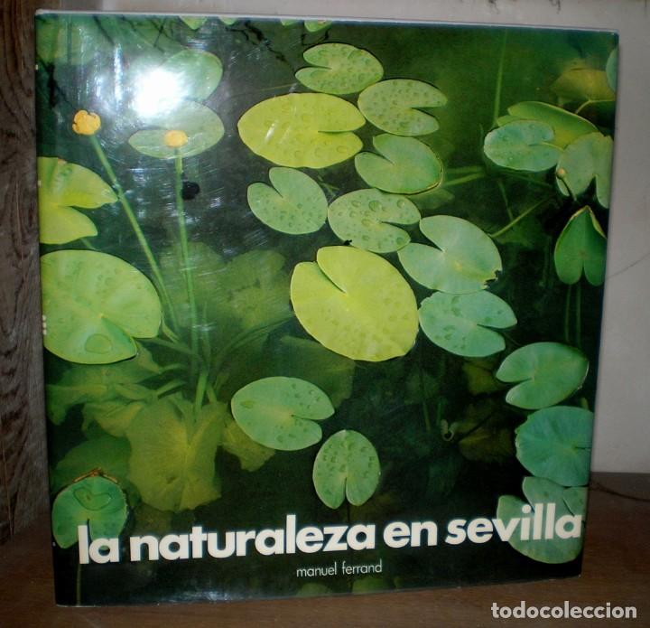 Libros de segunda mano: Ferrand, Mart&iacute;n: LA NATURALEZA EN SEVILLA - Foto 1
