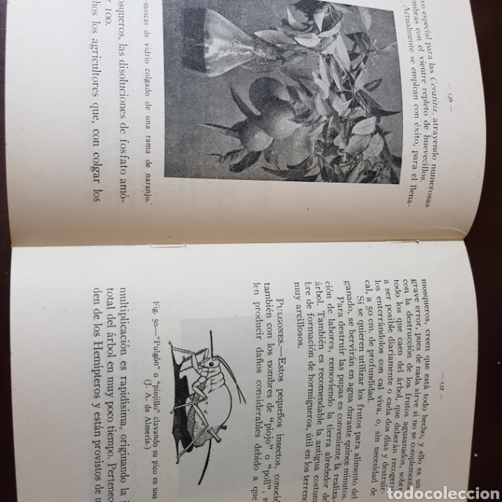 Libros de segunda mano: PLAGAS DEL CAMPO 1949SILVERIO PLANES - Foto 6