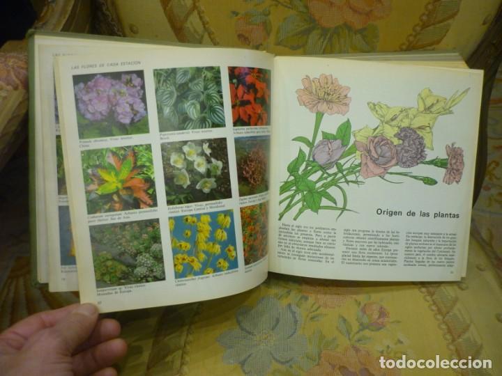 Libros de segunda mano: EL LIBRO DEL JARD&Iacute;N Y DE LA TERRAZA. MUY ILUSTRADO. 1.970. - Foto 6