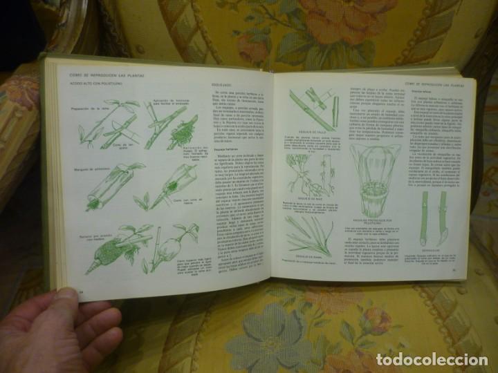 Libros de segunda mano: EL LIBRO DEL JARD&Iacute;N Y DE LA TERRAZA. MUY ILUSTRADO. 1.970. - Foto 7