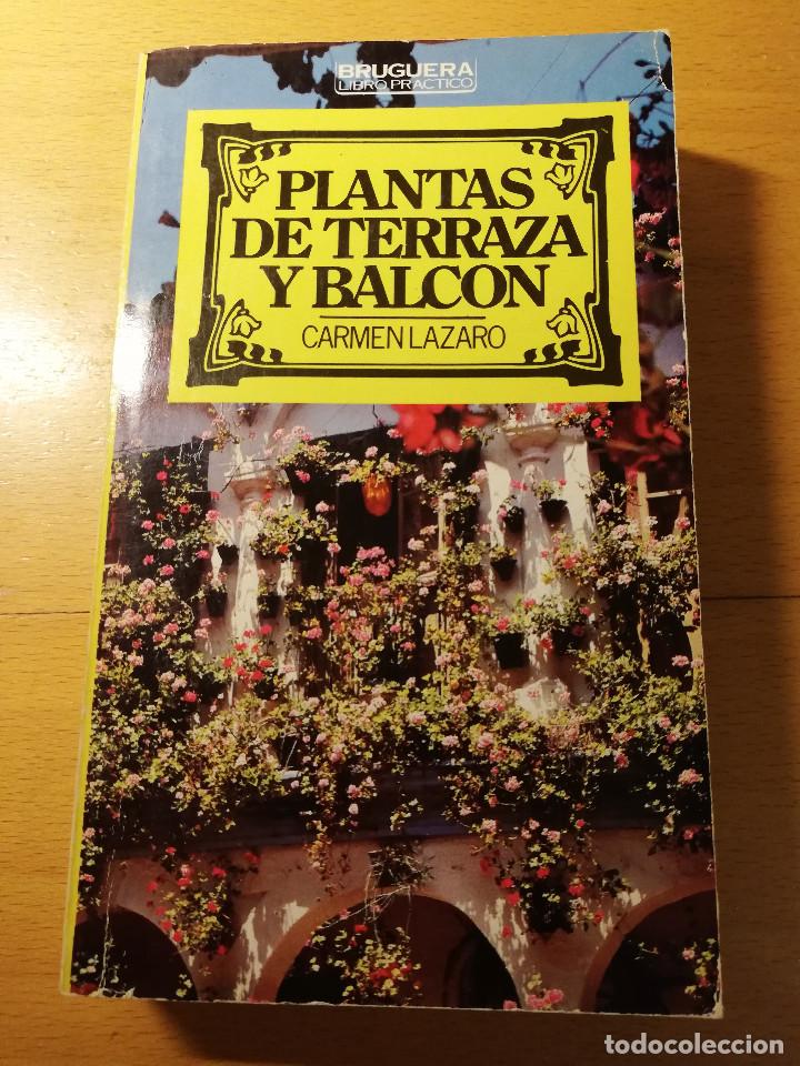 Libros de segunda mano: PLANTAS DE TERRAZA Y BALC&Oacute;N (CARMEN LAZARD) - Foto 1