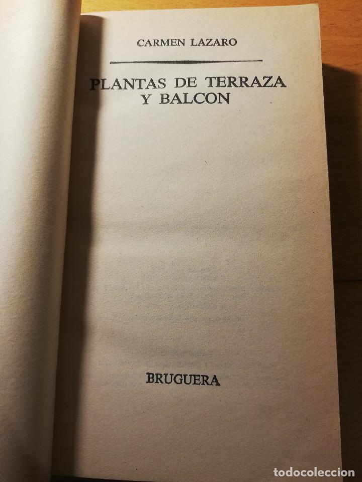 Libros de segunda mano: PLANTAS DE TERRAZA Y BALC&Oacute;N (CARMEN LAZARD) - Foto 2