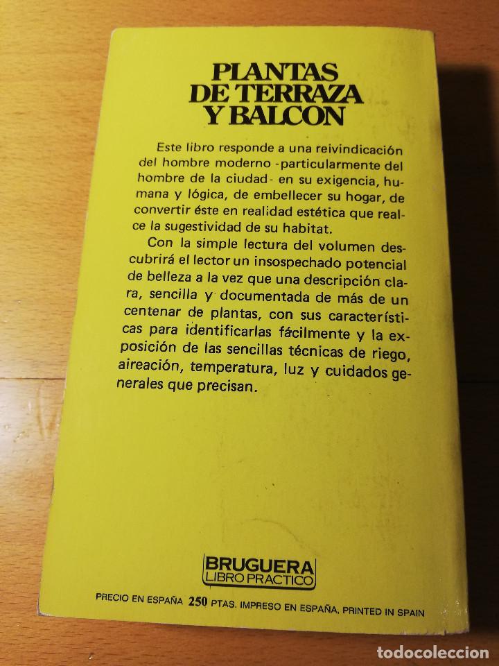 Libros de segunda mano: PLANTAS DE TERRAZA Y BALC&Oacute;N (CARMEN LAZARD) - Foto 4