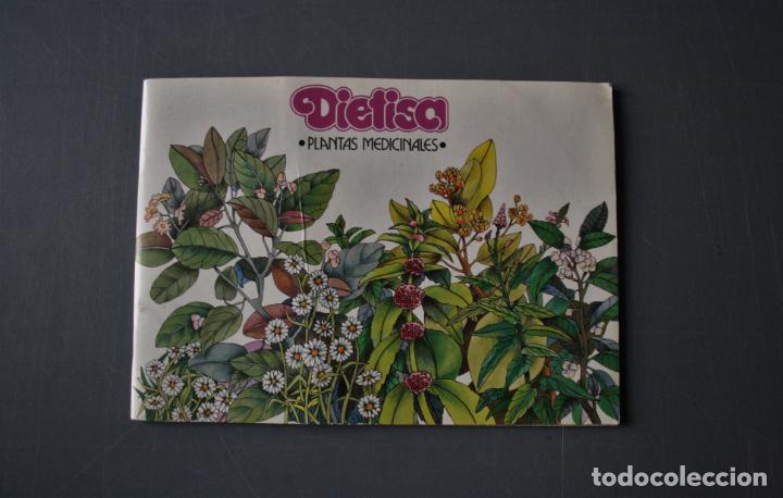 Libros de segunda mano: Plantas medicinales. Ed. Dietisa. - Foto 1
